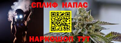ешки Будённовск