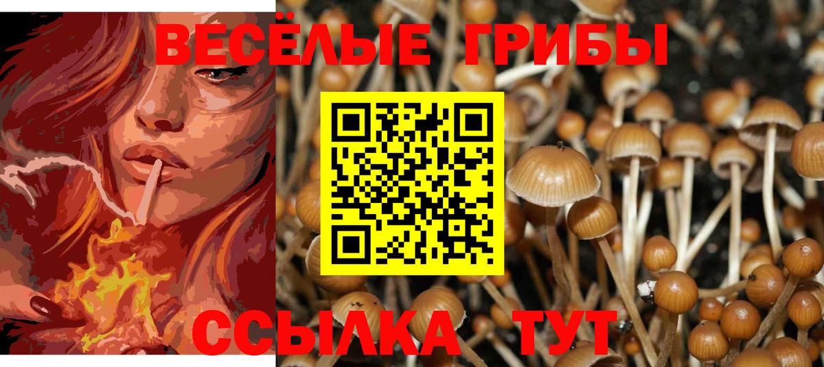 Псилоцибиновые грибы MAGIC MUSHROOMS  Вход с VPN  Ханты-Мансийск 